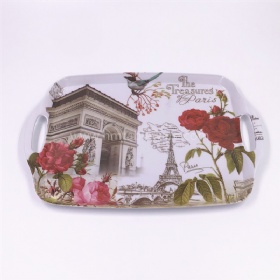 Fashion design oblong shape plastic melamine handled tray