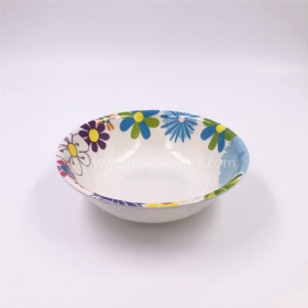 Non toxic plastic bowl melamine salad bowl with personal print