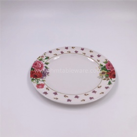 China healthy melamine dinner plate with customized decal