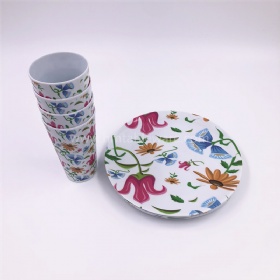 Fashion design 8pcs melamine dinnerware set include plate tumbler